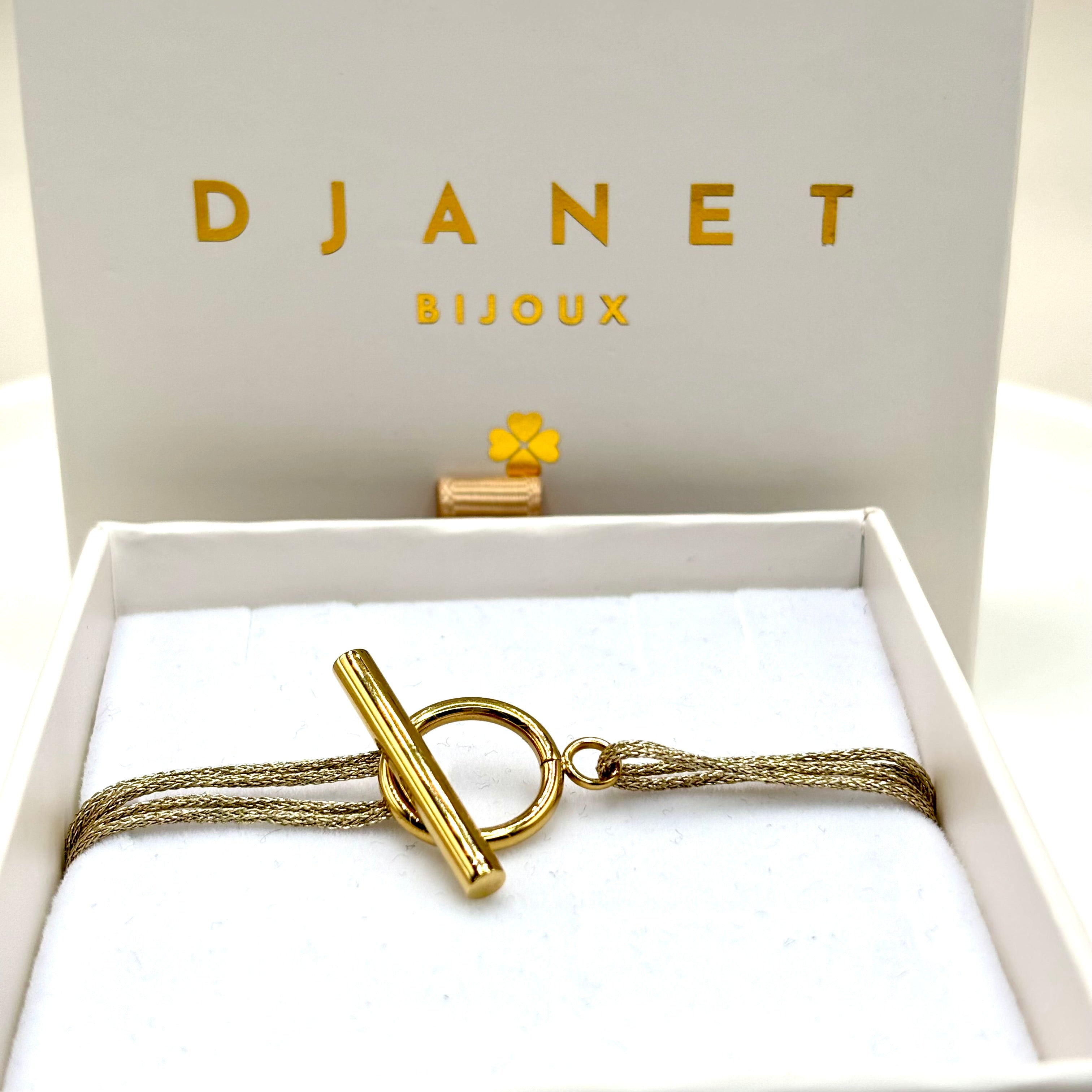 Bracelet cordon double doré scintillant fermoir T Toggle en acier inoxydable doré à l'or fin présenté dans sa boite cadeau Djanet Bijoux